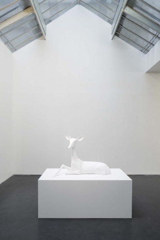 Exposition personnelle « SPECTRES - On Birds, Skulls and Drones », Miguel Branco, 2016<br/>© Jeanne Bucher Jaeger