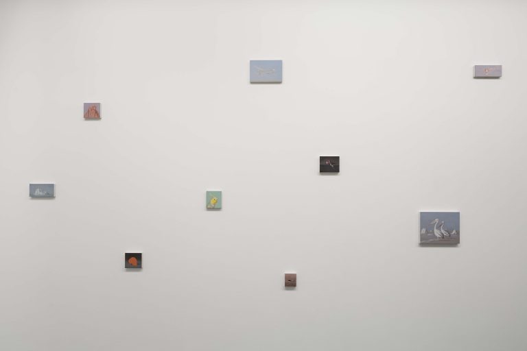 Exposition personnelle « SPECTRES - On Birds, Skulls and Drones », Miguel Branco, 2016<br/>© Jeanne Bucher Jaeger