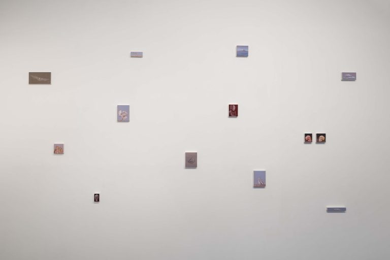 Exposition personnelle « SPECTRES - On Birds, Skulls and Drones », Miguel Branco, 2016<br/>© Jeanne Bucher Jaeger