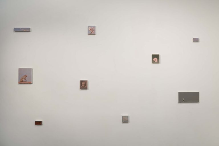 Exposition personnelle « SPECTRES - On Birds, Skulls and Drones », Miguel Branco, 2016<br/>© Jeanne Bucher Jaeger