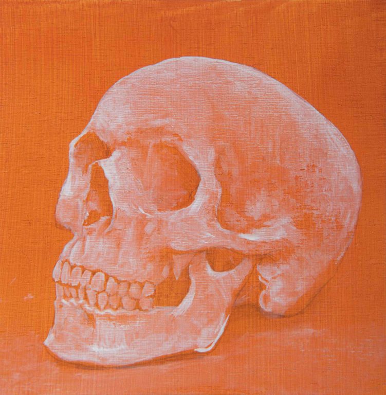 Miguel Branco, Sans titre (Crâne), 2016<br/>© Jeanne Bucher Jaeger