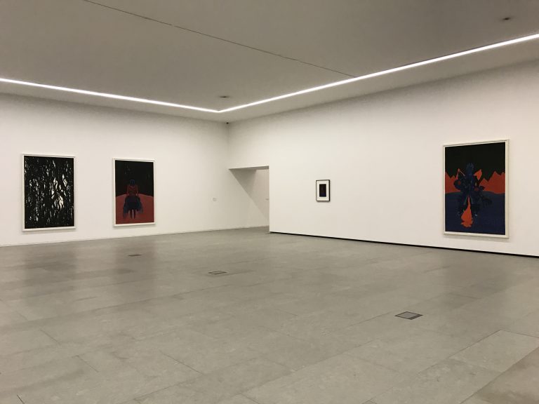 Solo exhibition «  Os Pirómanos », Rui Moreira, 2016<br/>© Jeanne Bucher Jaeger