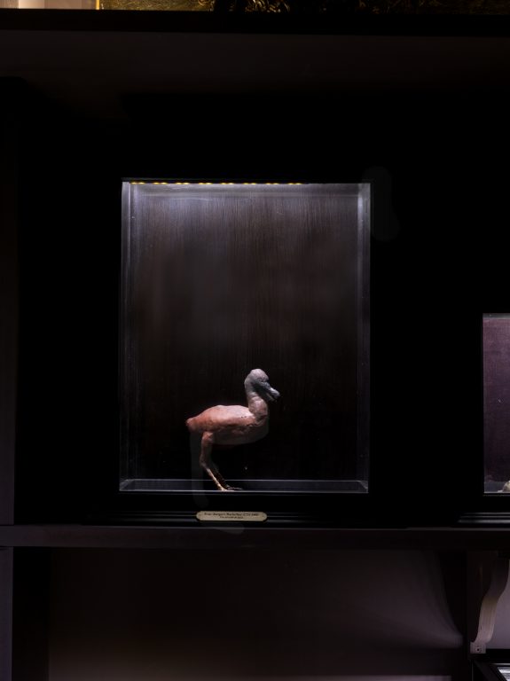 Solo show « Black Deer Resonances, Abductions, Interferences », 2016<br/>© Jeanne Bucher Jaeger