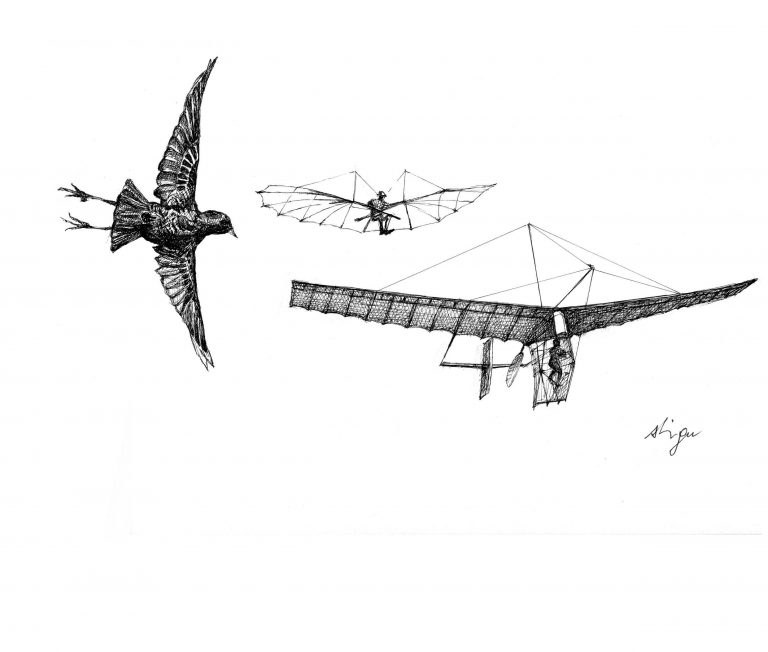 Susumu Shingu, Etudes, 2006<br/>© Jeanne Bucher Jaeger