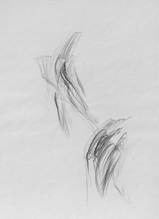 Antonella Zazzera, Studio Armonico, 2009<br/>© Jeanne Bucher Jaeger