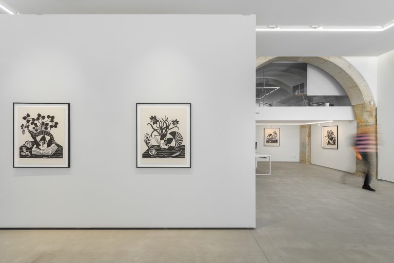 Solo exhibition 