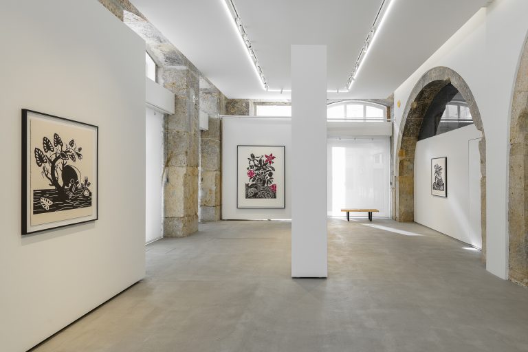 Solo exhibition 