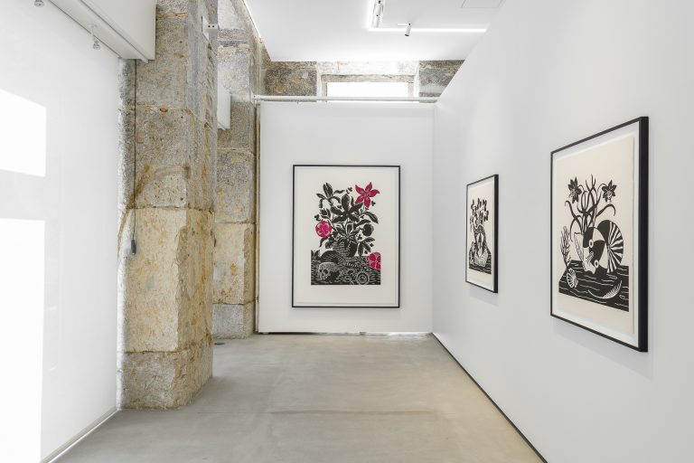 Solo exhibition 