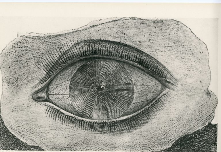 Max Ernst, Histoire Naturelle - La roue de la lumière, 1926<br/>© Jeanne Bucher Jaeger