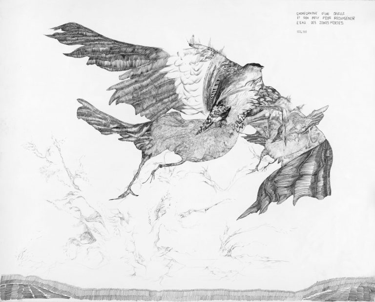 Noémie Sauve, Chorégraphie d'une oiselle et son petit pour réoxygéner l'eau des zones mortes, 2013<br/>© Jeanne Bucher Jaeger