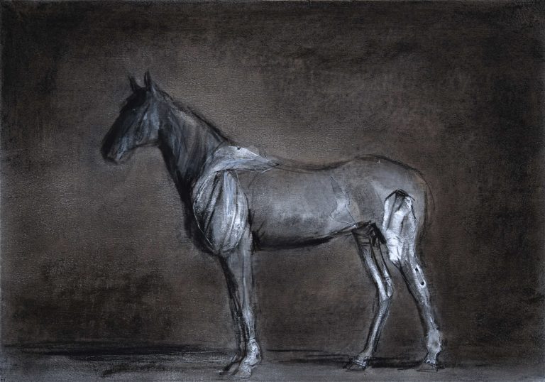 Miguel Branco, Untitled (After Georges Stubbs) #3, 2010<br/>© Jeanne Bucher Jaeger