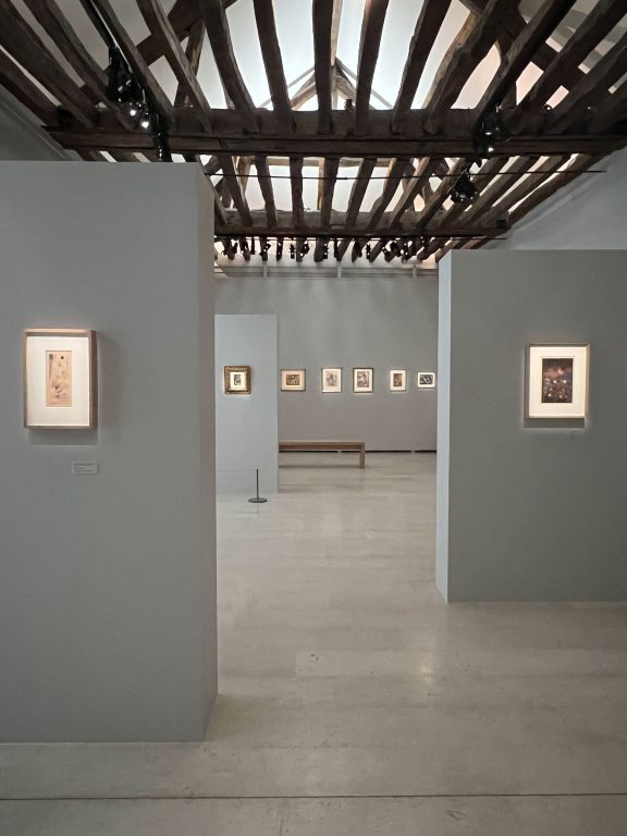 Solo exhibition 
