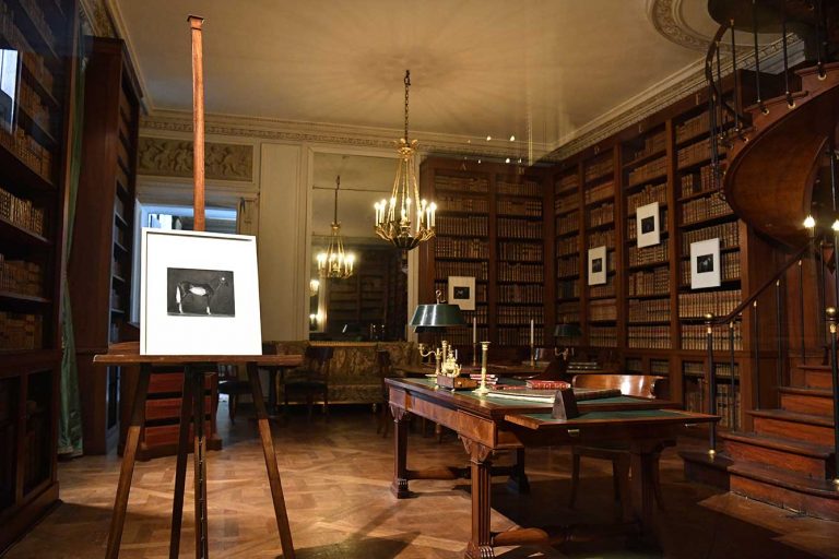 View of the Exhibition 