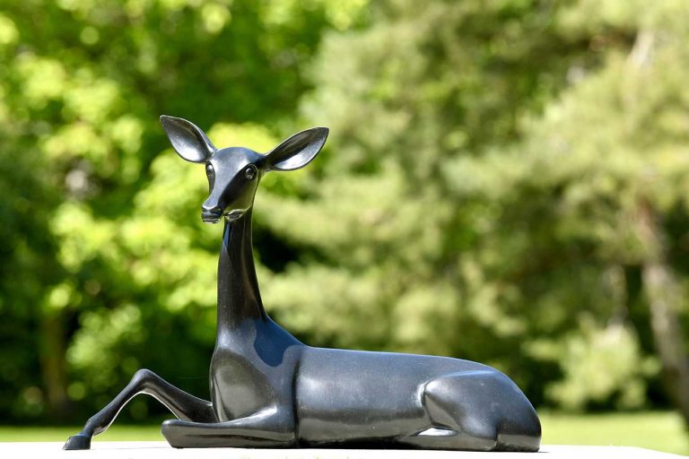 View of the Exhibition 