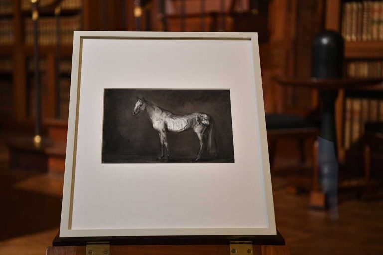 View of the Exhibition 