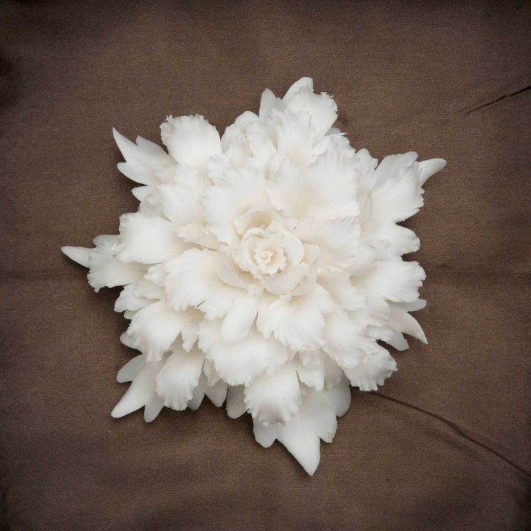 Yang-Jiechang-Peony-1913-2013-(These-are-Still-Flowers)-2013-Felicitas-Yang-300-dpi<br/>© Jeanne Bucher Jaeger