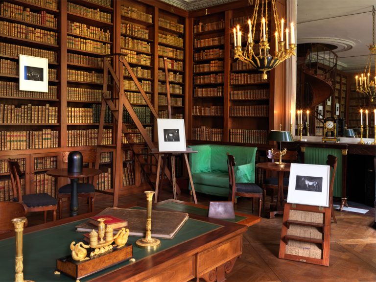 View of the Exhibition 