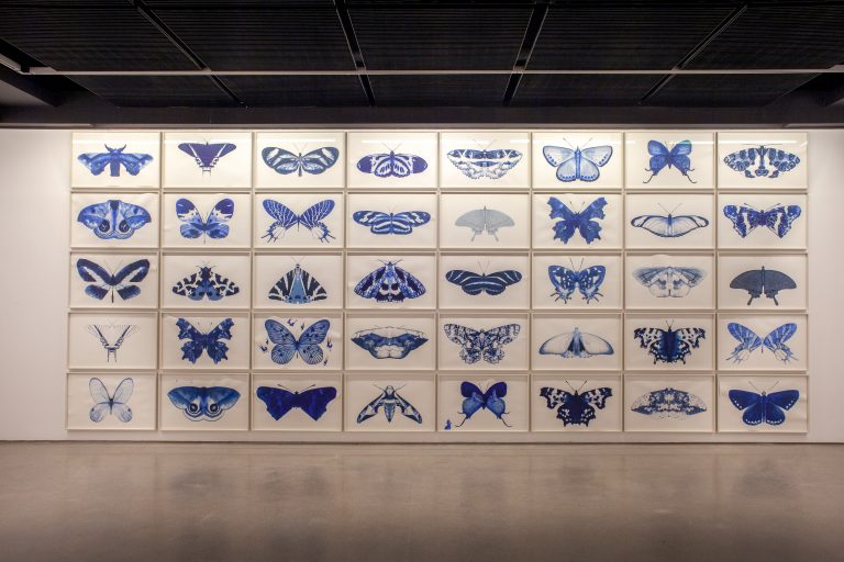 Exhibition Miguel Branco, Terra - ou os quarenta  nove degraus, 2023<br/>© Jeanne Bucher Jaeger