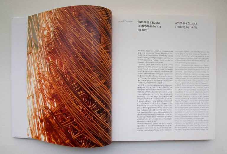 Extract « Antonella Zazzera, Harmonic Tensions », Edition Silvana Editoriale<br/>© Jeanne Bucher Jaeger