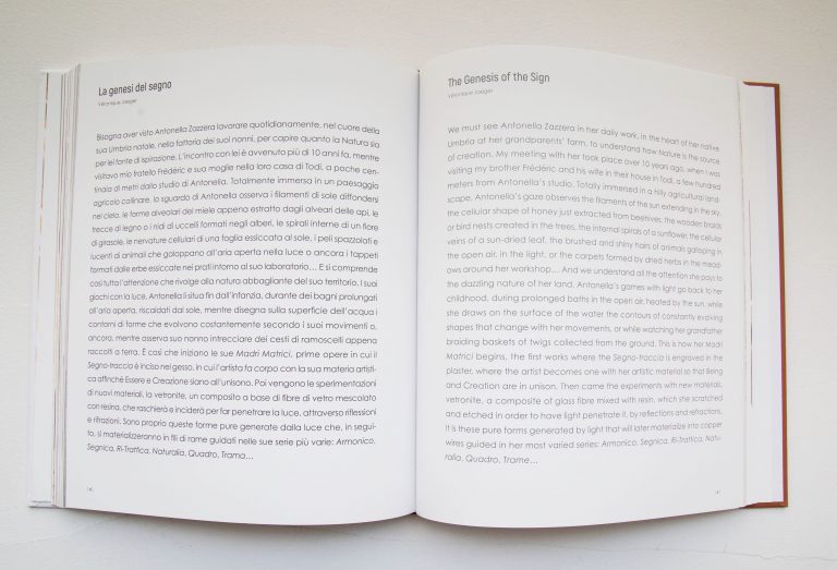 Extract « Antonella Zazzera, Harmonic Tensions », Edition Silvana Editoriale<br/>© Jeanne Bucher Jaeger
