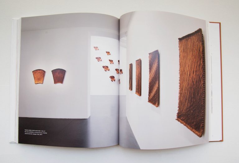 Extract « Antonella Zazzera, Harmonic Tensions », Edition Silvana Editoriale<br/>© Jeanne Bucher Jaeger