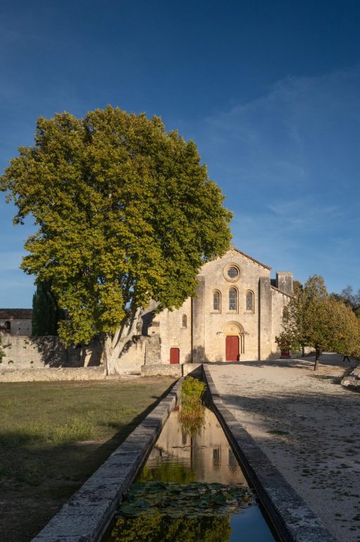 <br/>© Jeanne Bucher Jaeger