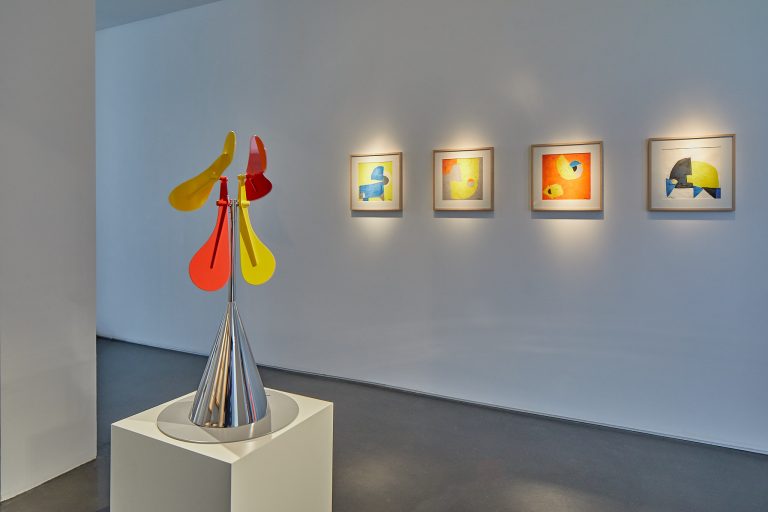 Vue d'exposition Susumu Shingu, 