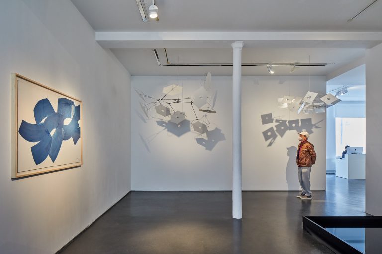 Vue d'exposition Susumu Shingu, 