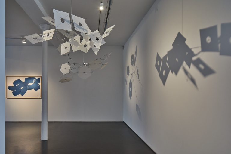 Vue d'exposition Susumu Shingu, 