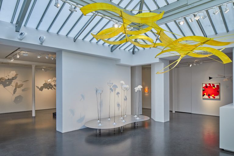 Vue d'exposition Susumu Shingu, 