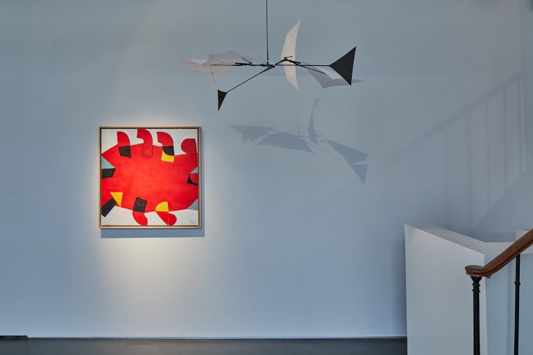 Vue d'exposition Susumu Shingu, 