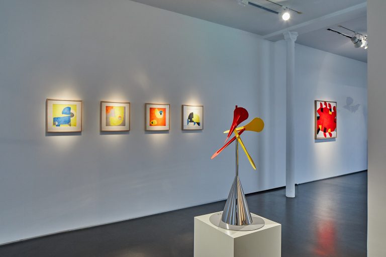 Vue d'exposition Susumu Shingu, 