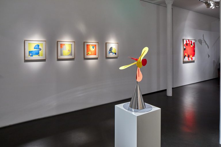 Vue d'exposition Susumu Shingu, 