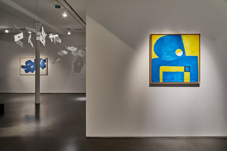 Vue d'exposition Susumu Shingu, 