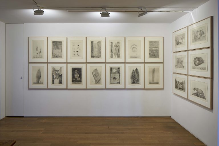 Exhibition view, Max Ernst, Histoire Naturelle, 2024-2025, Galerie Jeanne Bucher Jaeger, Paris<br/>© Jeanne Bucher Jaeger